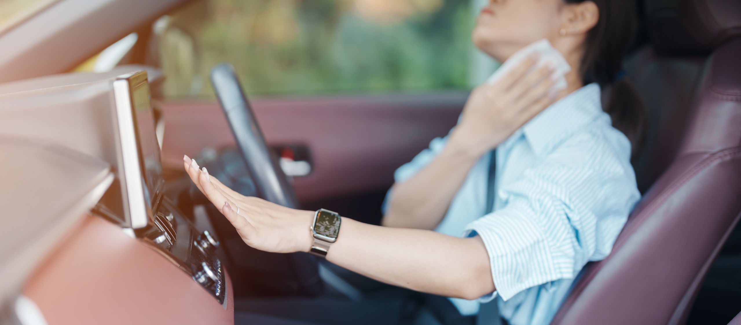 Sommerhitze im Auto